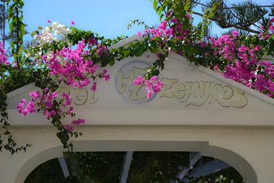 Zephyros Hotel Santorini