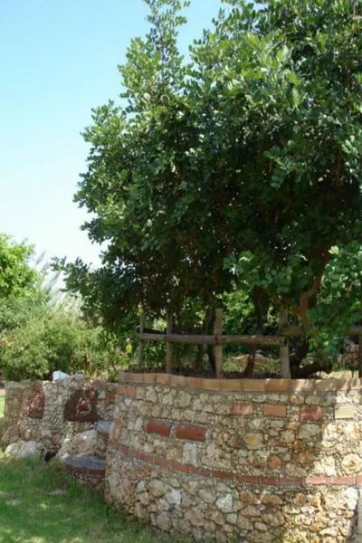 Iliostasi Beach Apartments