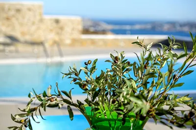 Lighthouse Villa Mykonos