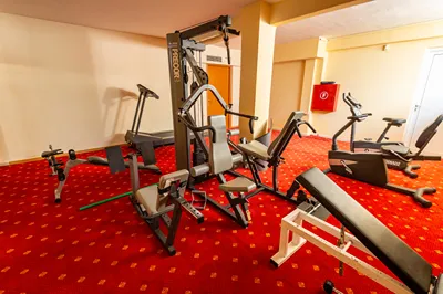Dolphin Resort Hotel & Conference Attica