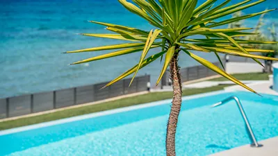 Perla Beach Villa
