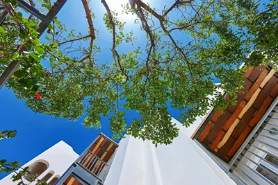 Arminda Hotel and SPA
