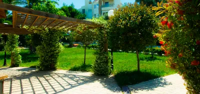 Apollonia Hotel Apartments