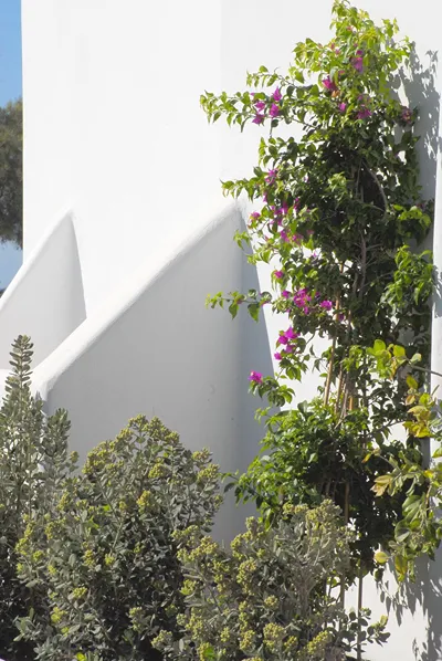 Aqua Blue Hotel