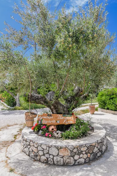 Theriano’s Villas