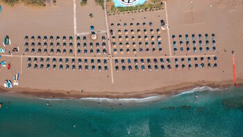 Hotel Calypso Beach