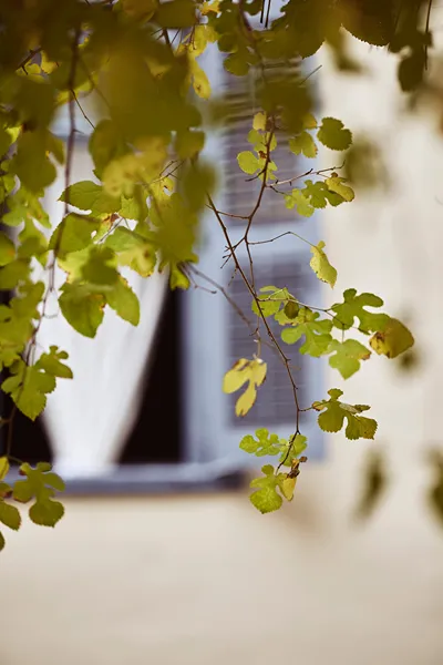 Bohemian Suites Athens - Maison Hotel  Adults Only