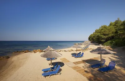 Blue Dolphin Hotel Chalkidiki
