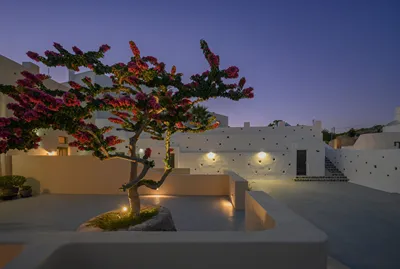 Elements Cave Suites