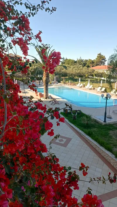 Sunflower Apartments & Studios Zakynthos