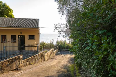 Dimitra Studios