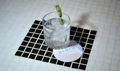 Anasa Hotel Athens