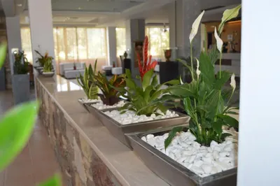 Natura Park Village Hotel & Spa