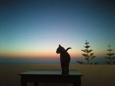 Phaos Santorini Suites