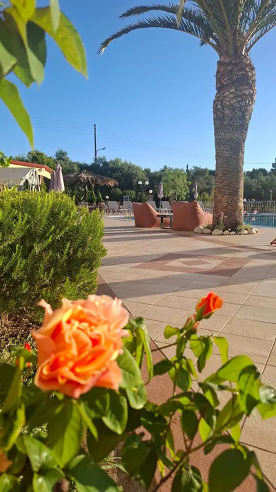 Sunflower Apartments & Studios Zakynthos