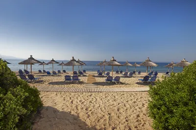 Blue Dolphin Hotel Chalkidiki