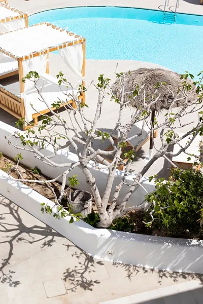 Casa Vitae Suites Santorini