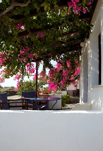 Anna Traditional Apartments Santorini