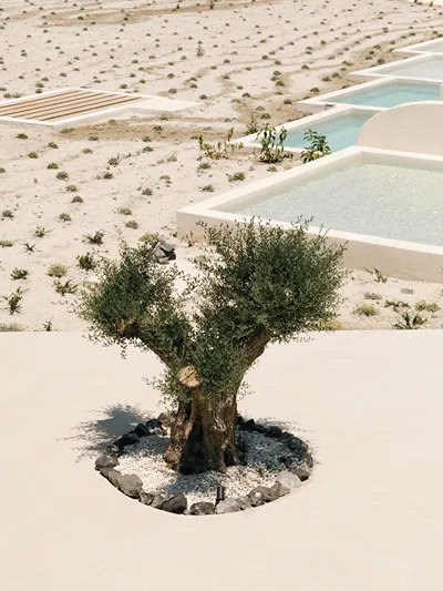 Elysian Retreat