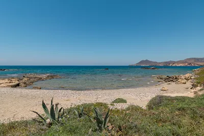 Ostria Vento