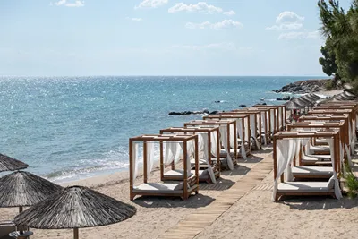 Blue Dolphin Hotel Chalkidiki
