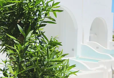 Cavo Bianco Santorini