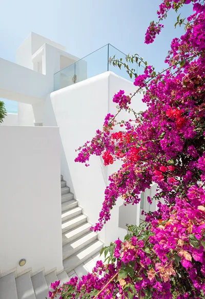 The George Hotel Mykonos