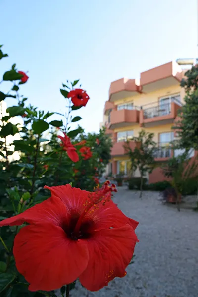 Iolkos Hotel Apartments Chania