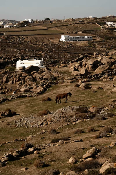 Armacaas Mykonos