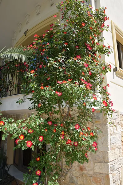 Olympic Fashion Hotel Athens