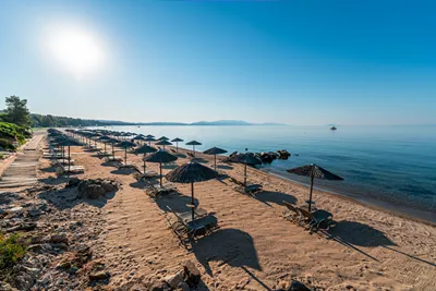 Blue Dolphin Hotel Chalkidiki