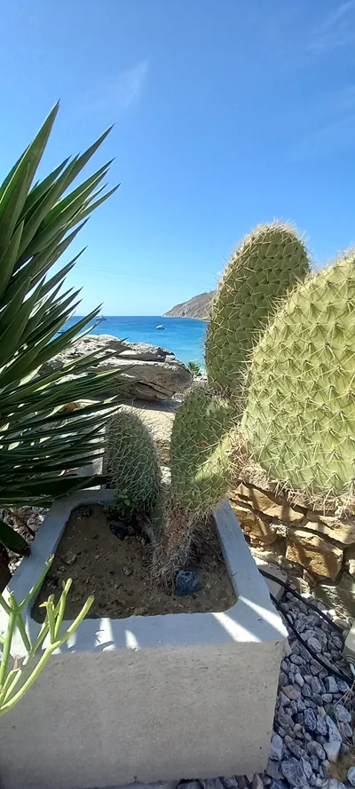 Seaside Studios & Houses Mykonos