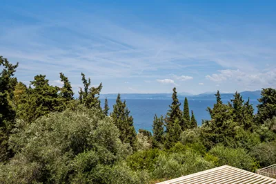 Villas Muscalas