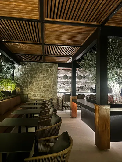 Ftelia Black Villas