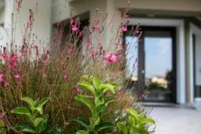 Gmare Studios And Apartments