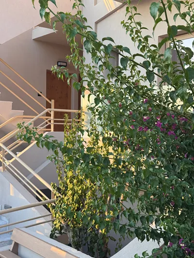 The Noverian Antama Organic Beach Resort Chania with Outdoor Heated Pool
