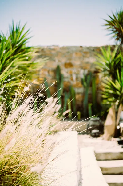 Seaside Studios & Houses Mykonos