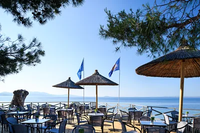 Blue Dolphin Hotel Chalkidiki