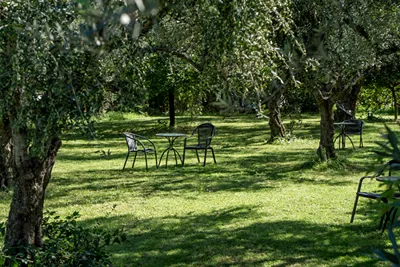 Castelli Hotel Zante