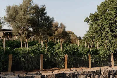 Village Heights Resort