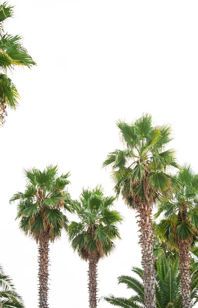 Tridente Mare Apart Hotel​