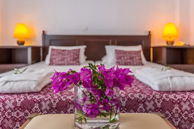Agionissi Resort Chalkidiki