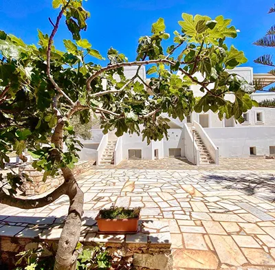Margarita Studios