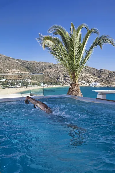 Ios Palace Hotel