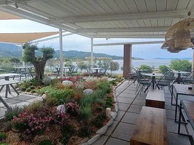 Thetis Boutique Apartments - Adults Only