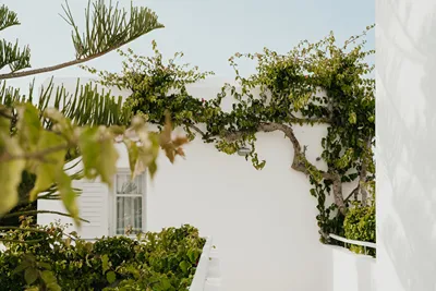 Mr and Mrs White Paros
