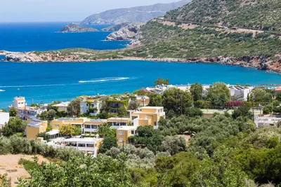 Xidas Garden