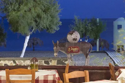Veggera Hotel