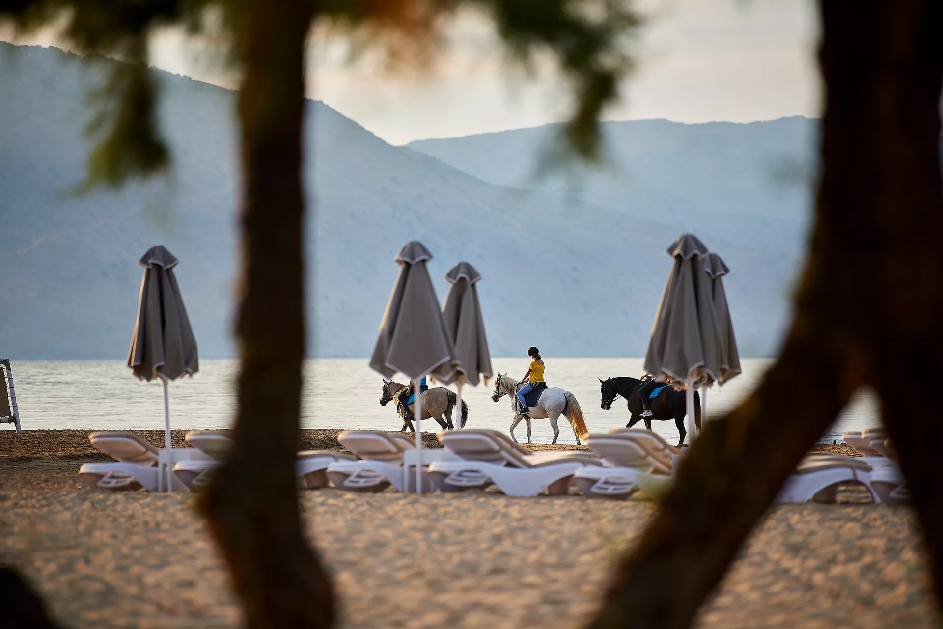 Mythos Palace Resort & Spa