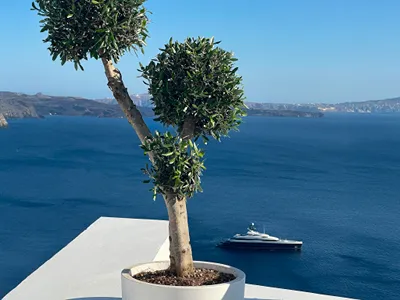 Saint Santorini